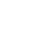 WN logo white